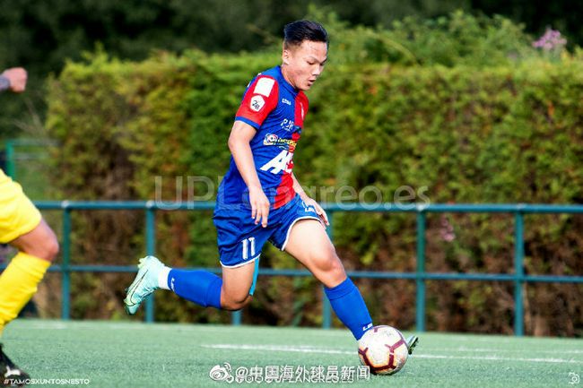 少妇特黄a一区二区三区