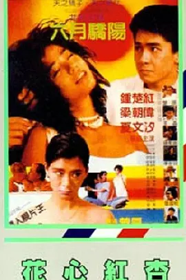 日本一级理论片