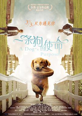 欧美日韩片