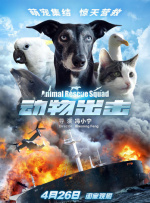 av免费播放