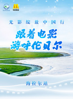 菠萝视频高清1080p在线观看