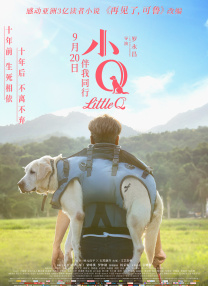 国产高清在线精品一区免费97