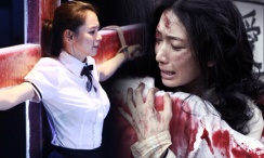 在线免费观看成年人视频