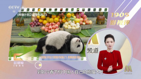 成+人+亚洲+综合天堂
